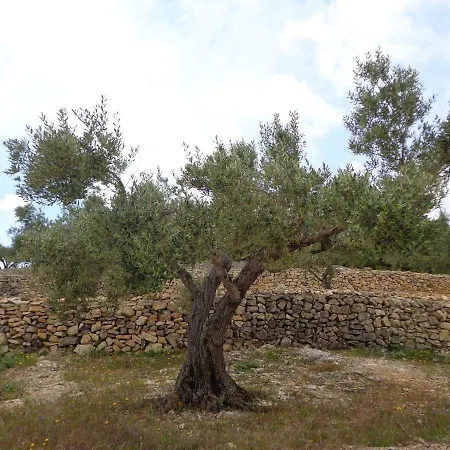Tramuntana *